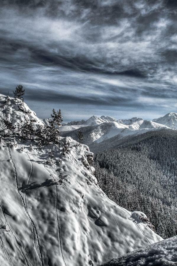 Willa Zbikowka Zakopane Exterior photo